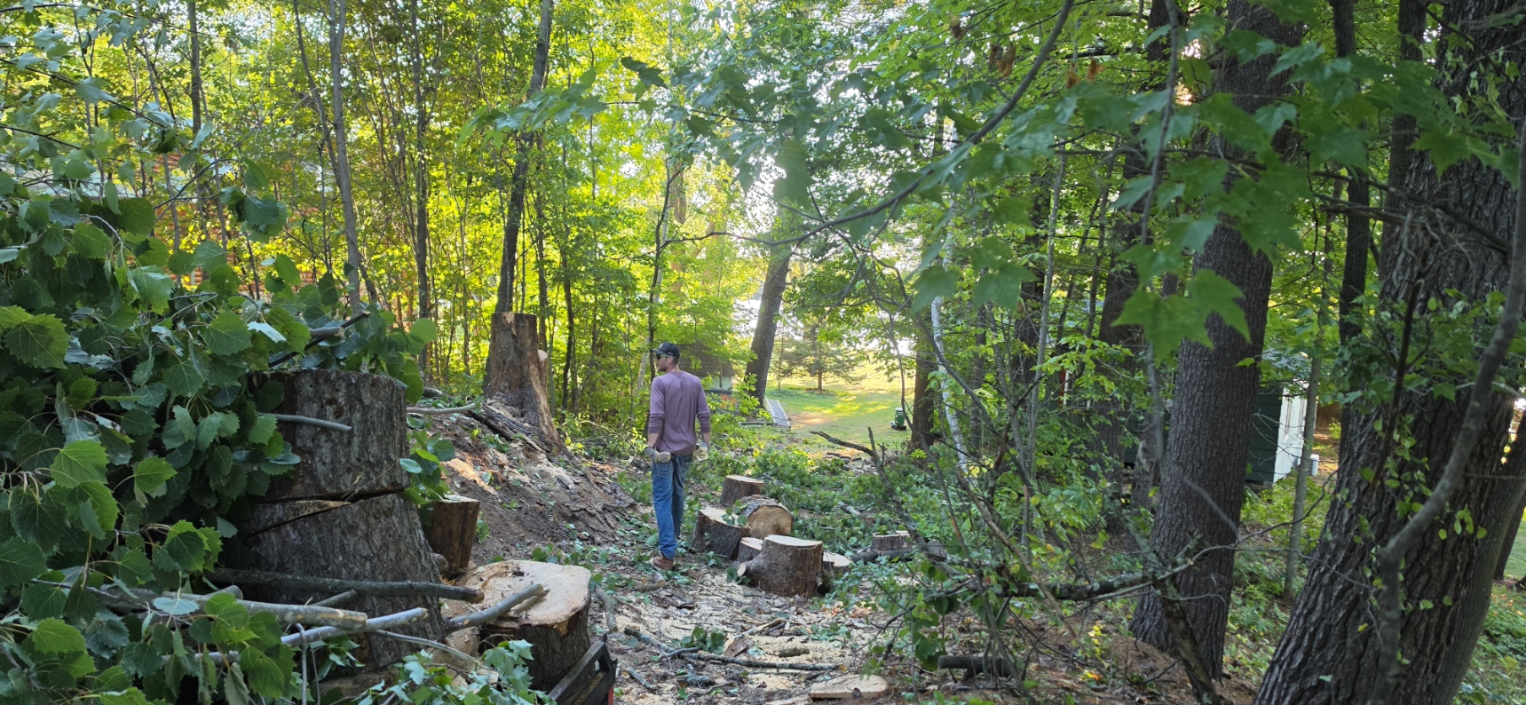 Before — Mitch clearing trees for driveway, Bone Lake Polk County WI